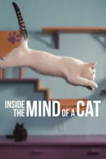 Nonton Inside the Mind of a Cat (2022) Subtitle Indonesia