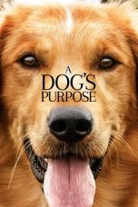 Nonton A Dog's Purpose (2017) Subtitle Indonesia