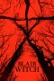 Nonton Blair Witch (2016) Subtitle Indonesia