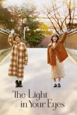 Nonton The Light in Your Eyes (2019) Subtitle Indonesia