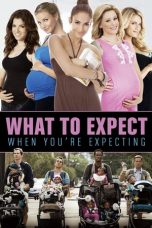 Nonton What to Expect When You're Expecting (2012) Subtitle Indonesia