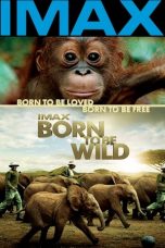 Nonton Born to Be Wild (2011) Subtitle Indonesia