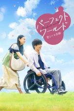 Nonton Perfect World (2018) Subtitle Indonesia