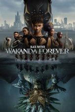 Nonton Black Panther: Wakanda Forever (2022) Subtitle Indonesia