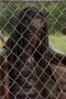 the-walking-dead-season-3-episode-7