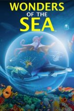wonders-of-the-sea-3d-2017